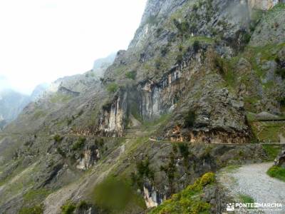 Ruta Cares-Picos de Europa; el parrizal de beceite parque natural els ports reserva natural de munie